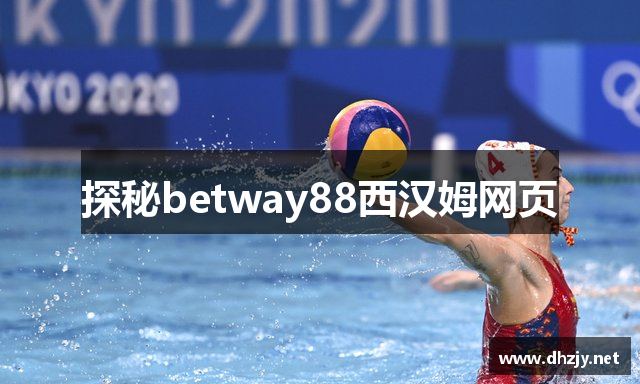 探秘betway88西汉姆网页